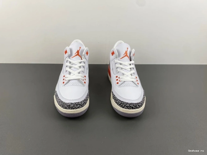 Jordan Peach Retro  3 Georgia CK9246-121 0301